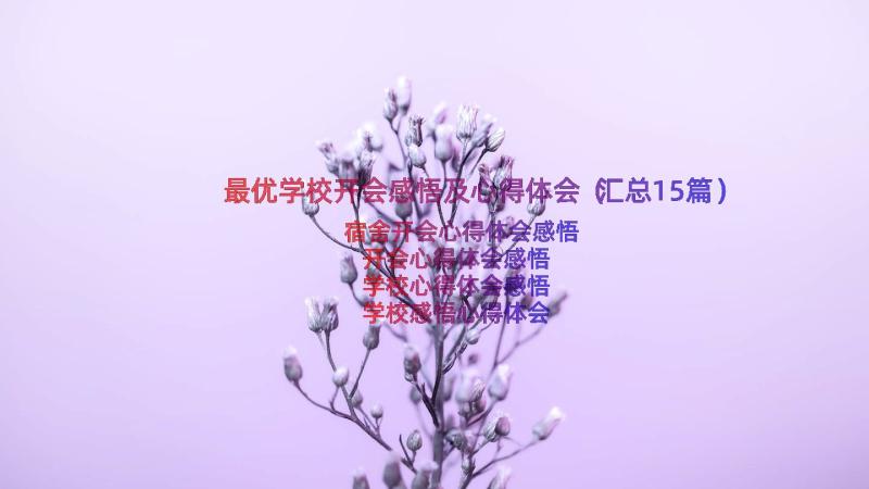 最优学校开会感悟及心得体会（汇总15篇）