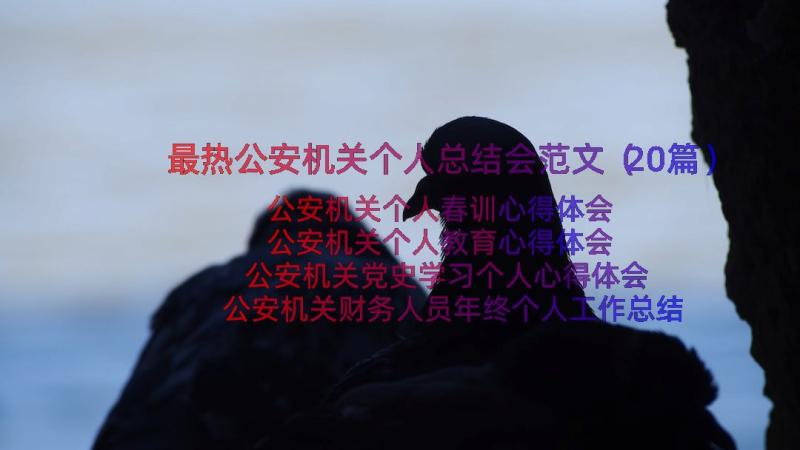 最热公安机关个人总结会范文（20篇）