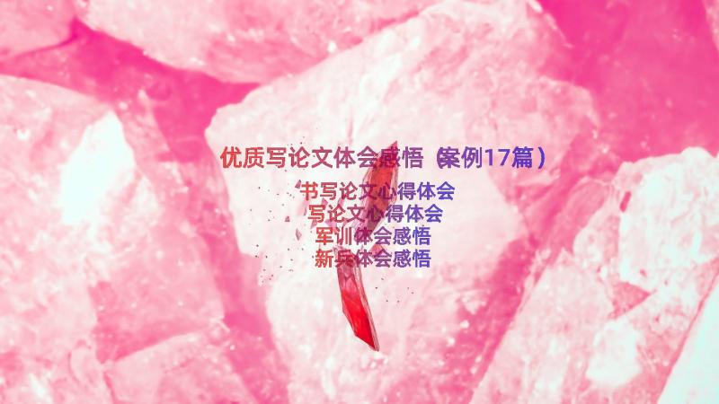 优质写论文体会感悟（案例17篇）