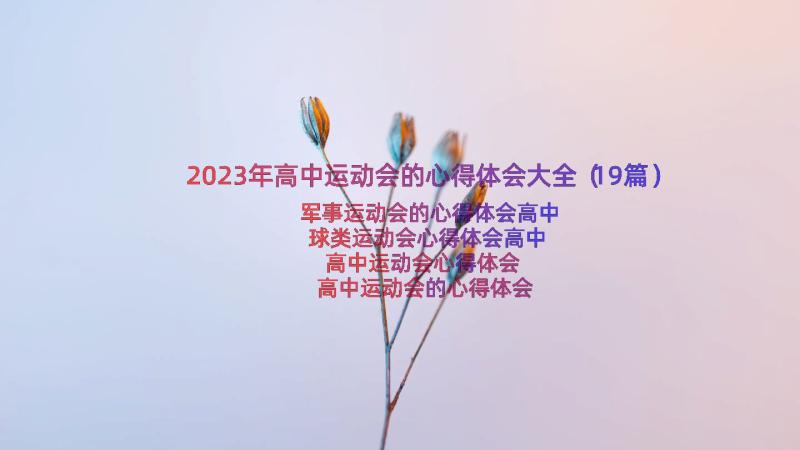 2023年高中运动会的心得体会大全（19篇）