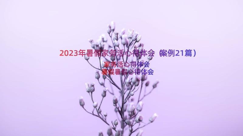 2023年暑假家务活心得体会（案例21篇）