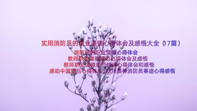 实用消防员的职业道德心得体会及感悟大全（17篇）