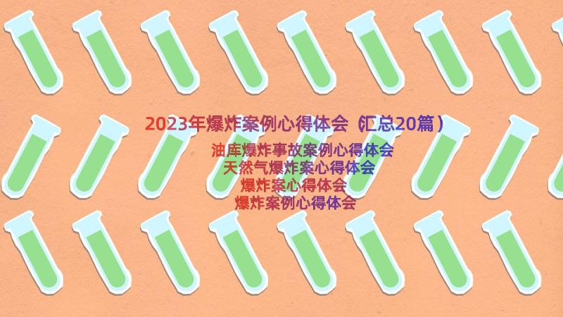 2023年爆炸案例心得体会（汇总20篇）