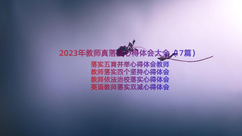 2023年教师真落实心得体会大全（17篇）