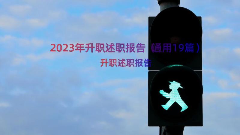 2023年升职述职报告（通用19篇）