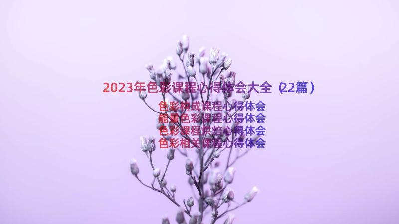 2023年色彩课程心得体会大全（22篇）