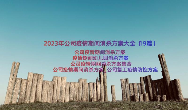 2023年公司疫情期间消杀方案大全（19篇）