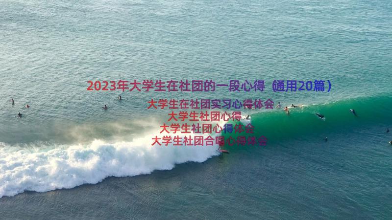 2023年大学生在社团的一段心得（通用20篇）