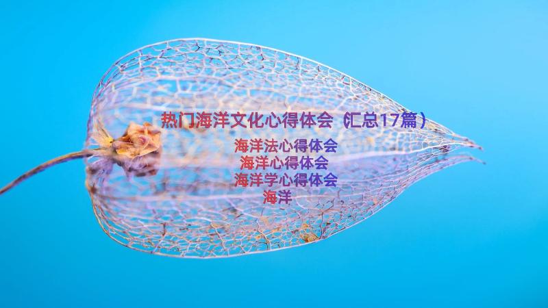 热门海洋文化心得体会（汇总17篇）