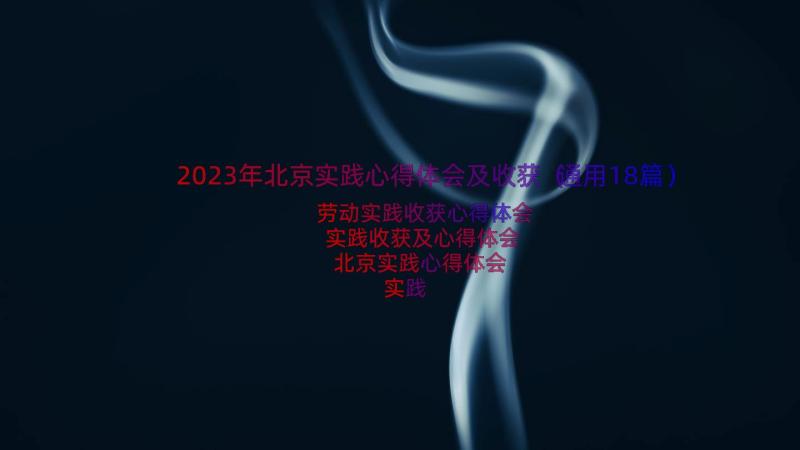 2023年北京实践心得体会及收获（通用18篇）