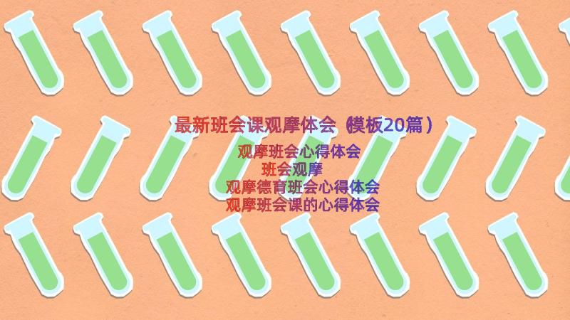 最新班会课观摩体会（模板20篇）