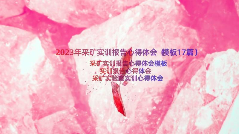 2023年采矿实训报告心得体会（模板17篇）