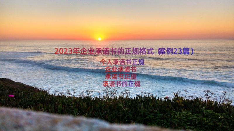 2023年企业承诺书的正规格式（案例23篇）