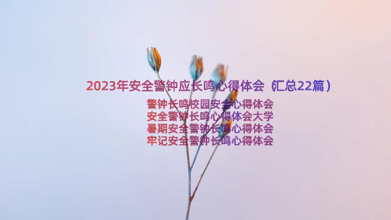 2023年安全警钟应长鸣心得体会（汇总22篇）