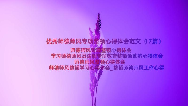 优秀师德师风专项整顿心得体会范文（17篇）