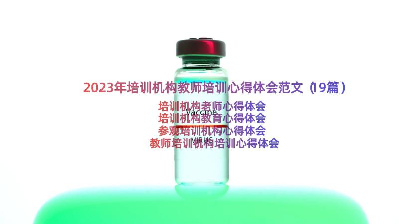 2023年培训机构教师培训心得体会范文（19篇）