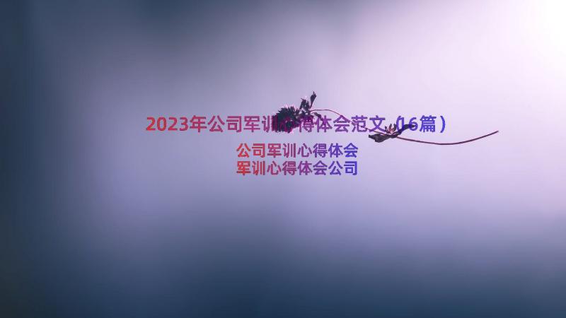 2023年公司军训心得体会范文（16篇）