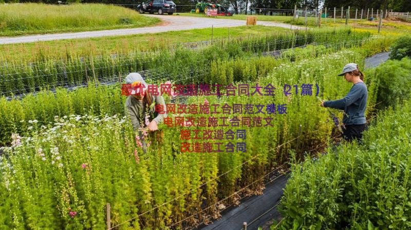 最优电网改造施工合同大全（21篇）