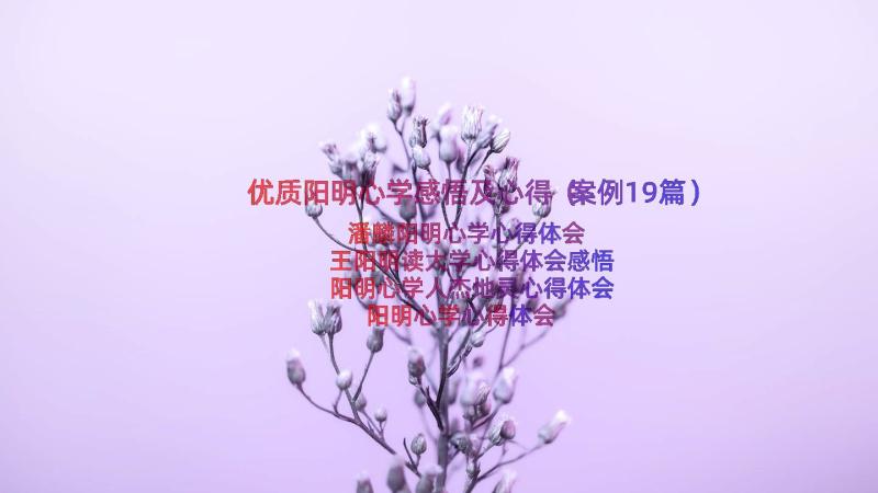 优质阳明心学感悟及心得（案例19篇）