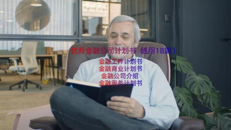 优秀金融公司计划书（通用18篇）