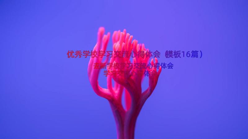 优秀学校学习交流心得体会（模板16篇）