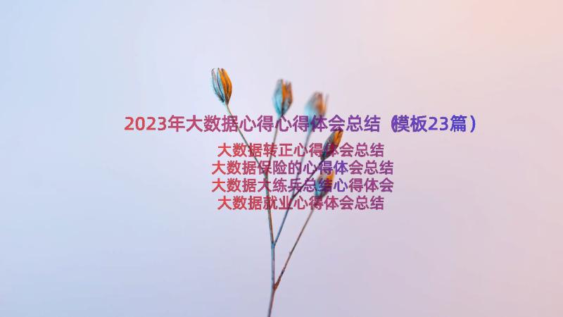 2023年大数据心得心得体会总结（模板23篇）