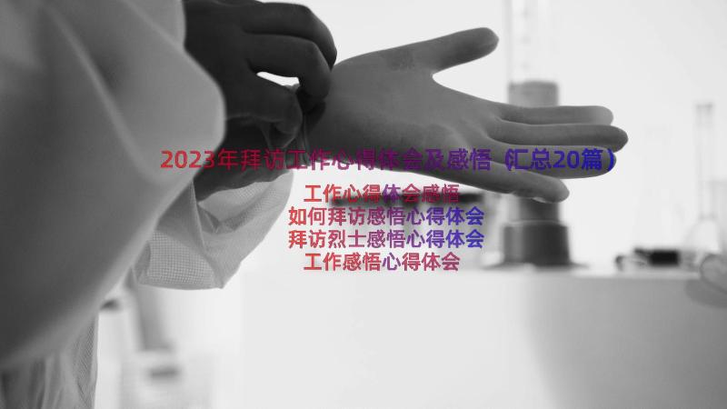 2023年拜访工作心得体会及感悟（汇总20篇）