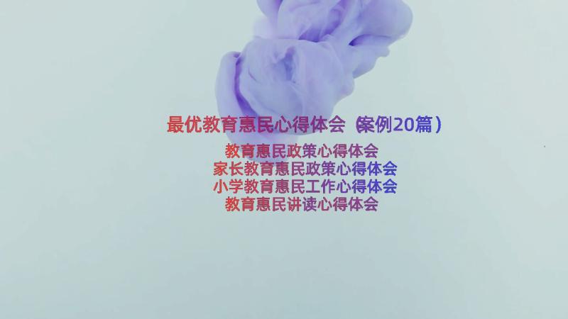 最优教育惠民心得体会（案例20篇）