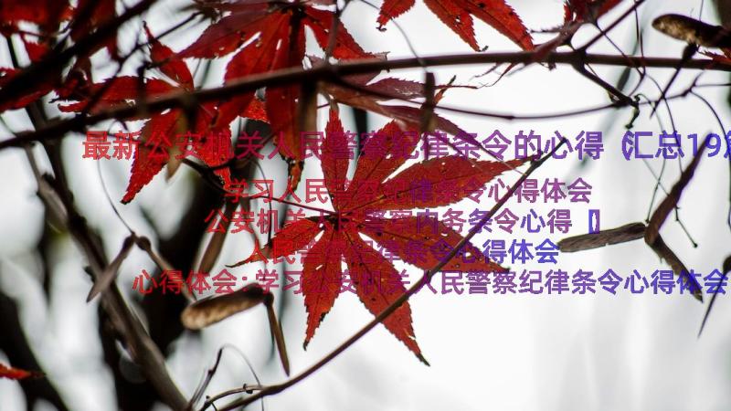 最新公安机关人民警察纪律条令的心得（汇总19篇）