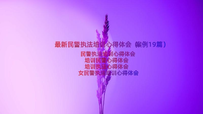 最新民警执法培训心得体会（案例19篇）