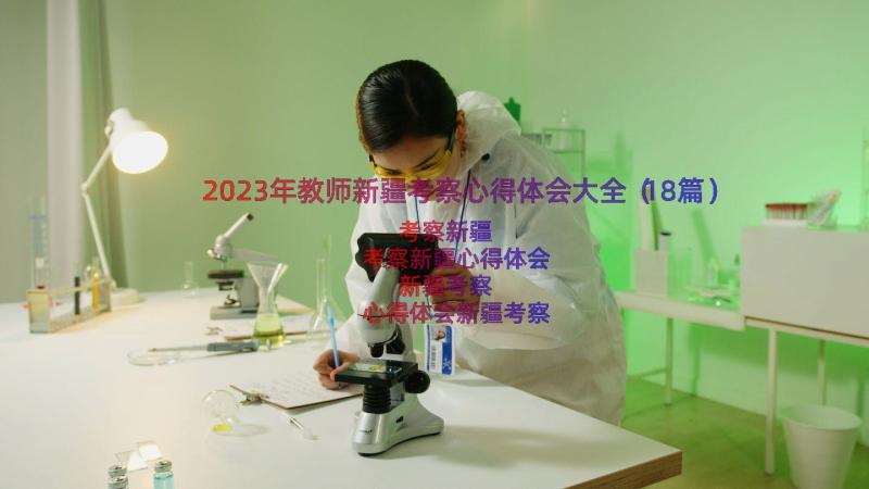 2023年教师新疆考察心得体会大全（18篇）