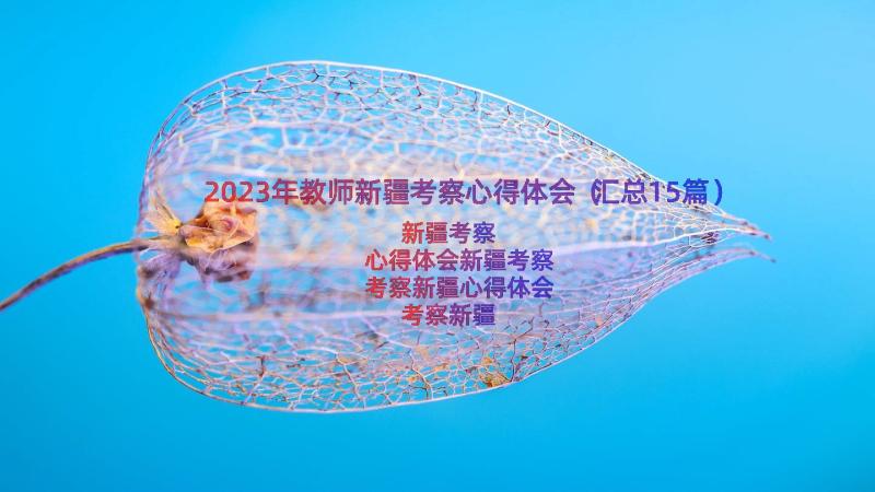 2023年教师新疆考察心得体会（汇总15篇）