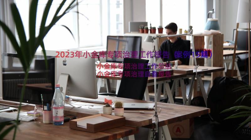 2023年小金库专项治理工作报告（案例15篇）