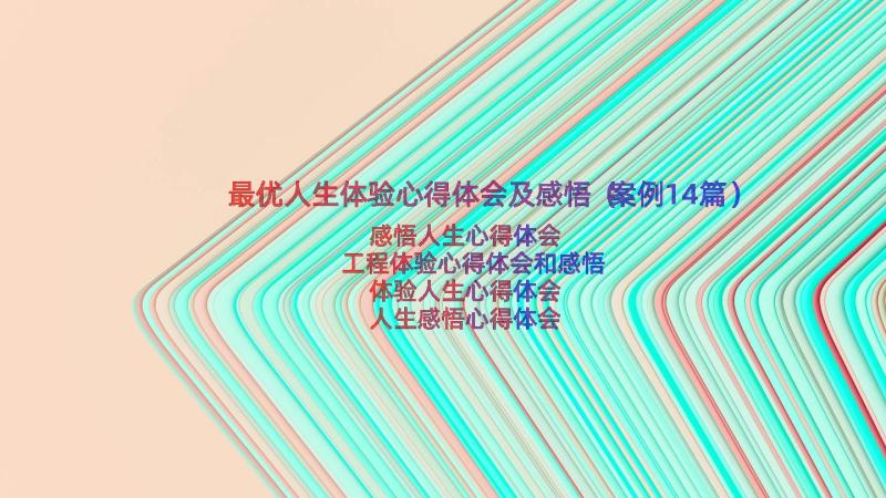 最优人生体验心得体会及感悟（案例14篇）