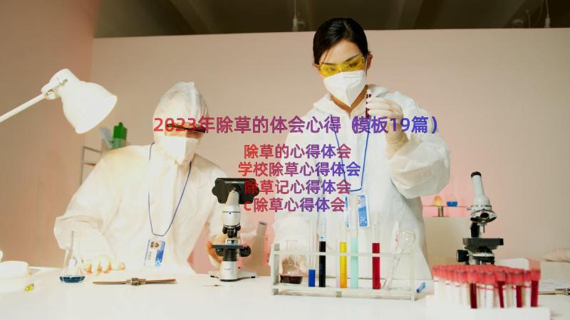 2023年除草的体会心得（模板19篇）