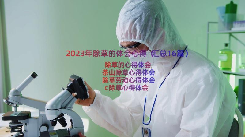 2023年除草的体会心得（汇总16篇）