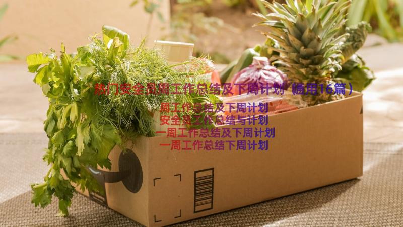 热门安全员周工作总结及下周计划（通用16篇）