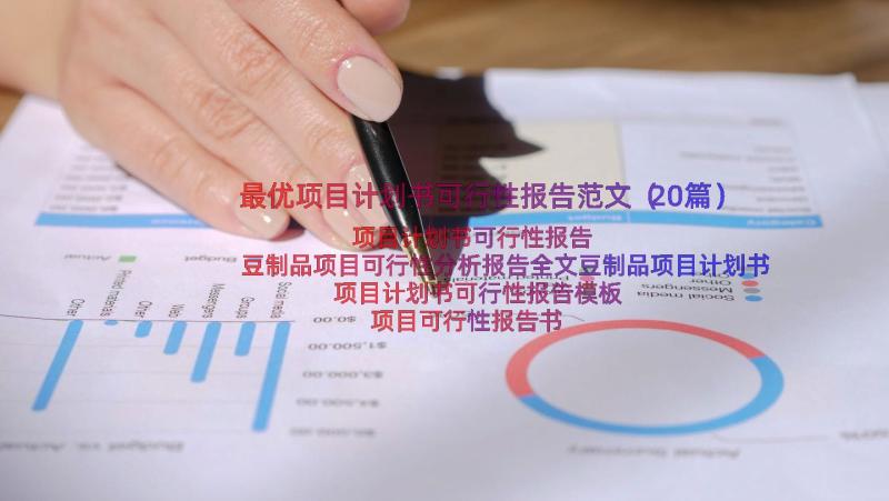 最优项目计划书可行性报告范文（20篇）