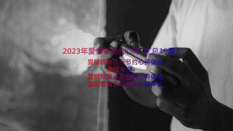 2023年爱惜粮食的心得（汇总19篇）