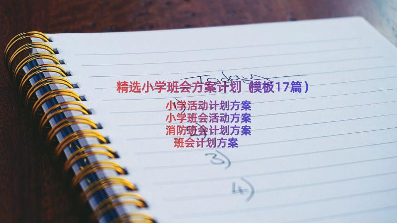 精选小学班会方案计划（模板17篇）