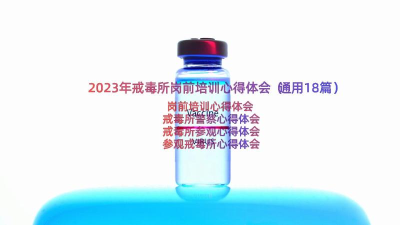 2023年戒毒所岗前培训心得体会（通用18篇）