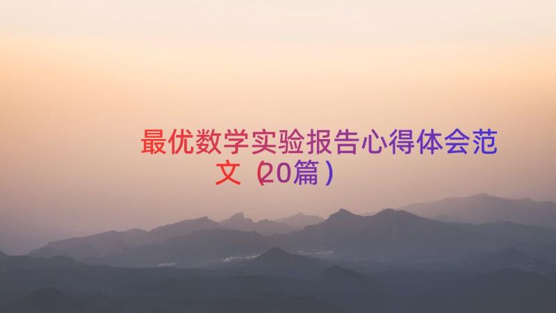 最优数学实验报告心得体会范文（20篇）