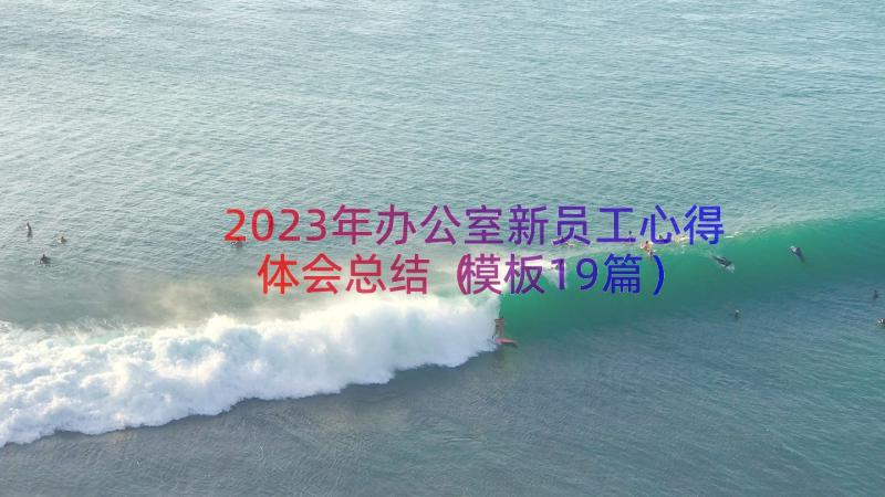 2023年办公室新员工心得体会总结（模板19篇）