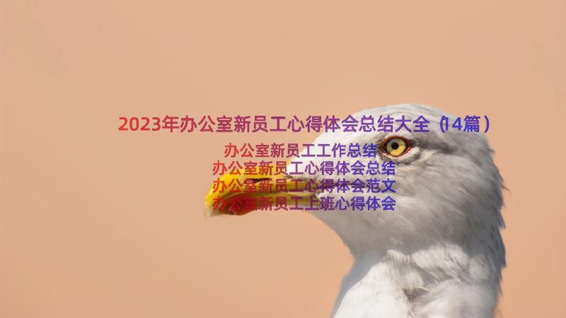 2023年办公室新员工心得体会总结大全（14篇）