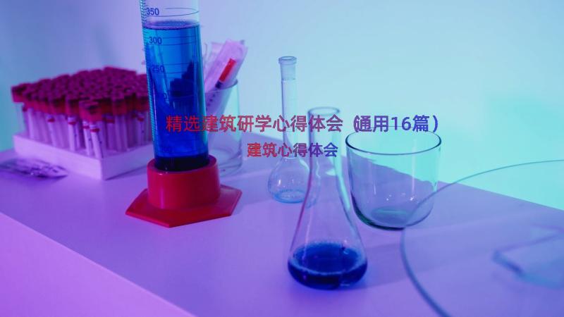 精选建筑研学心得体会（通用16篇）