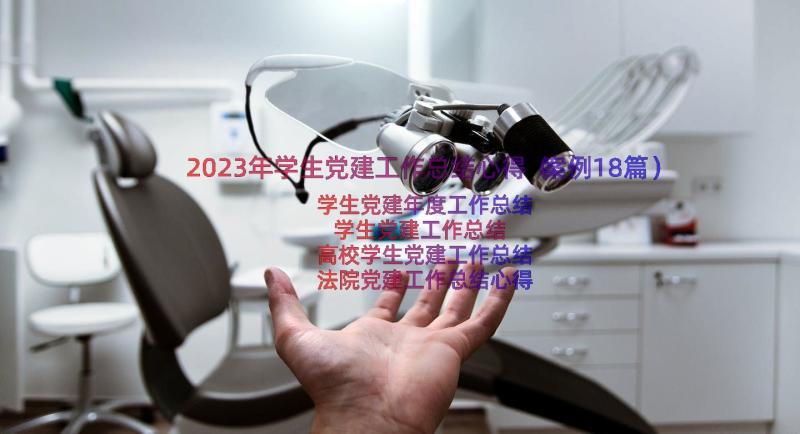 2023年学生党建工作总结心得（案例18篇）