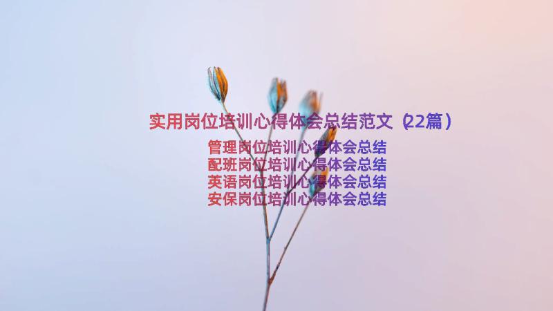 实用岗位培训心得体会总结范文（22篇）