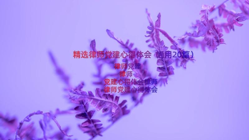 精选律师党建心得体会（通用20篇）