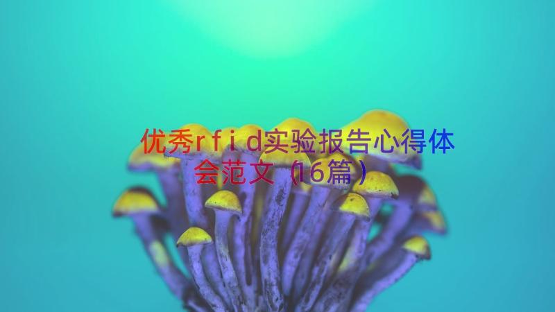 优秀rfid实验报告心得体会范文（16篇）