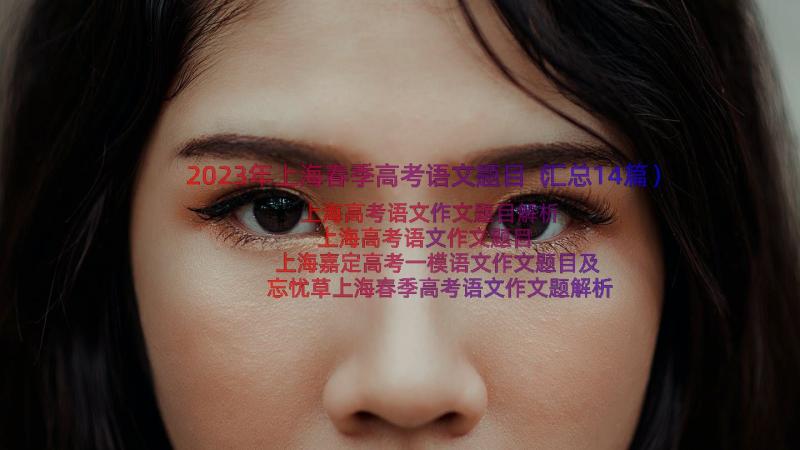 2023年上海春季高考语文题目（汇总14篇）